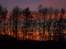 SAM_4689.webp