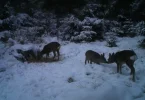 PTDC0809.webp