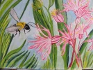 Hummel IMG_0265.webp