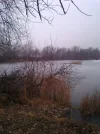 Bild 038.webp
