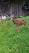 20140606_185204.webp