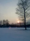 Bild 1749.webp