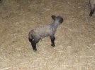 SAM_4661.webp