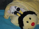 SAM_4475.webp