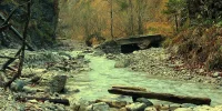 IMG_9406_natur.webp