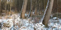 IMG_1231.webp