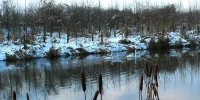 IMG_1234.webp