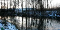 IMG_1233.webp