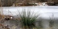 IMG_2952.webp IMG_2952.webp