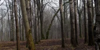 IMG_2995.webp IMG_2995.webp