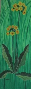 Primel IMG_0050.webp