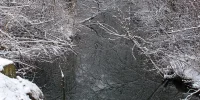 IMG_5057.webp