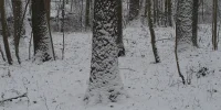 IMG_5065.webp