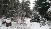 20150131_155356.webp