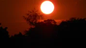 DSCN3996.webp