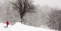 Apfel (4 von 4).webp