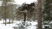20150131_164526.webp