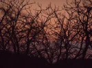 DSCN0585.webp