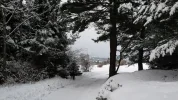 20150202_155702.webp