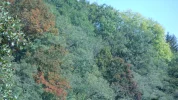 DSCN2711.webp