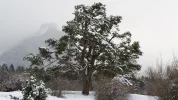 20150202_160535.webp