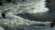 DSCN2923.webp