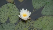 DSCN2333.webp
