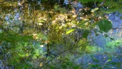 P1010217.webp