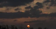 rote Sonne (1 von 1).webp