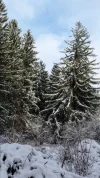 20150202_153535.webp