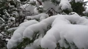 20150131_155735.webp