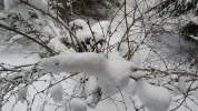 20150131_155519.webp