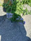 20250513_120704.webp