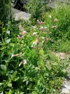 20250513_121321.webp