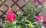 IMG_20250514_104959.webp