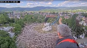 Kirchzarten_2025-05-16 17Uhr00-03 Müllentferung-durch-Bauhofmitarbeiter.webp