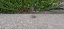IMG_20250522_130650.webp