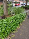 25052025-01.webp