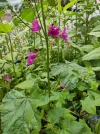 25052025-04.webp