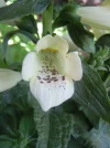 DSCN0003.webp