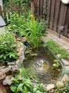 1000074066.webp