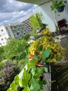 20250530_150207.webp