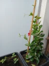 20250530_144022.webp