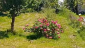 IMG-20250531-WA0009.webp