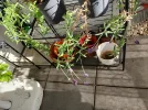 20250531_174125.webp