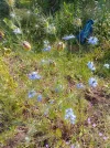 IMG_20250605_091136.webp