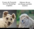 99444 männer.webp