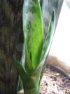 DSCN0087.webp