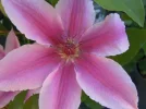 DSCN0038.webp