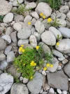 20250611_104228.webp